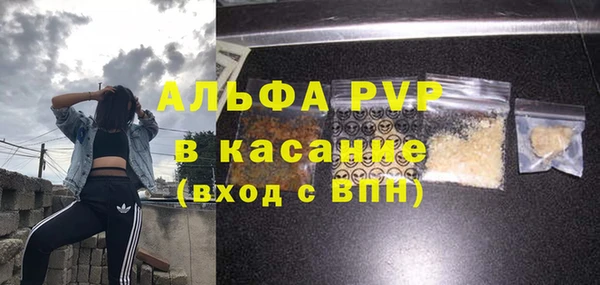 индика Лабытнанги