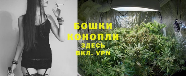 скорость Лиски