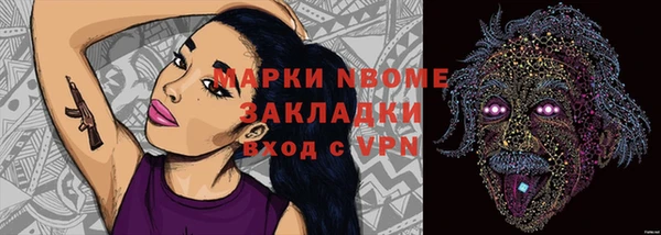 индика Лабытнанги