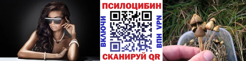 Галлюциногенные грибы прущие грибы  omg ТОР  Чердынь 